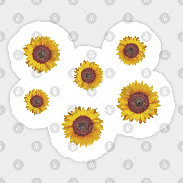 Sunflower Sticker Pack Sticker by aterkaderk